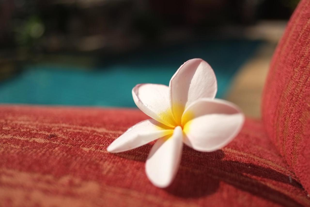 พระตำหนักวิลล่า 10 ห้องนอน พร้อมสระว่ายน้ำส่วนตัว Pattaya Eksteriør bilde